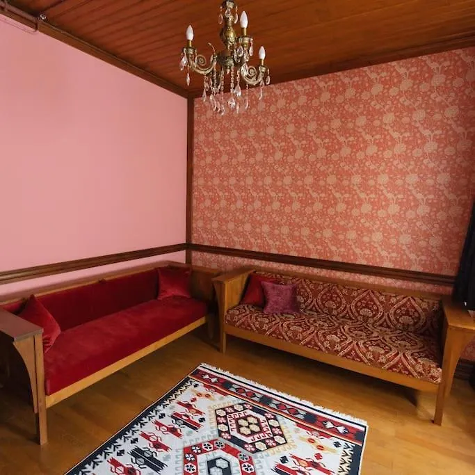 Beyoglu'Nun Kalbinde Yueksek Tavanli Daire Istanbul Turkey