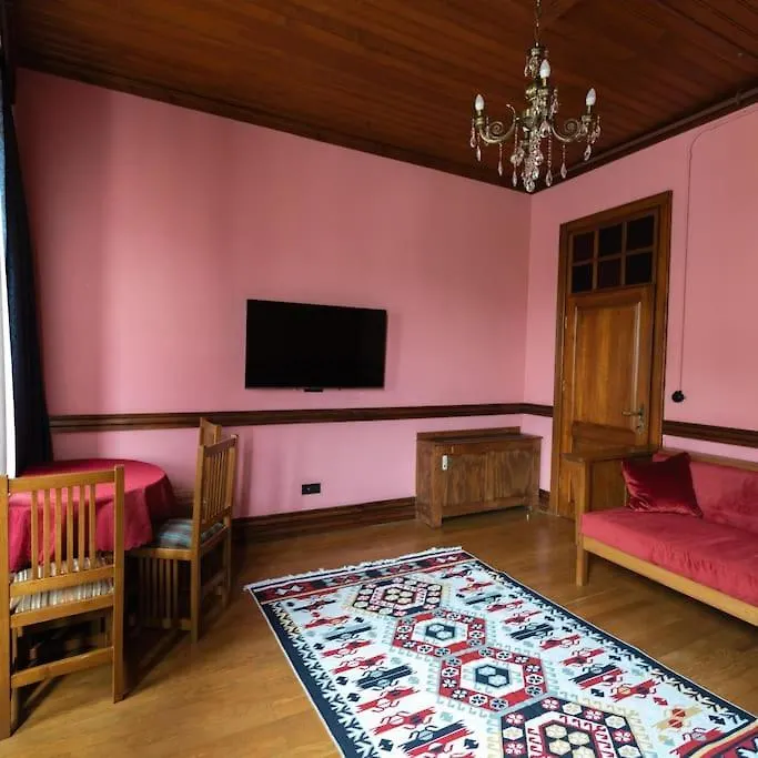 Beyoglu'Nun Kalbinde Yueksek Tavanli Daire Istanbul Turkey